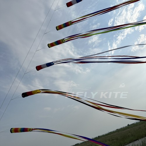 6/12/22m kite long tails