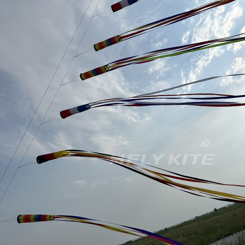 6/12/22m kite long tails 