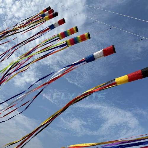 6/12/22m kite long tails
