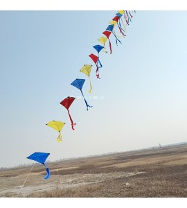 25M Train kite 40d Ripstop Nylon For Adults High Quality Colorful Show Kite