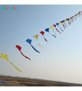 25M Train kite 40d Ripstop Nylon For Adults High Quality Colorful Show Kite