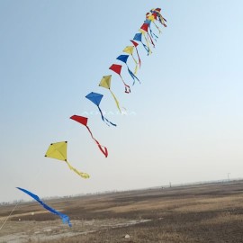 25M Trian kite Arch Kite 40d Ripstop Nylon For Adults High Quality Colorful Show Kite 