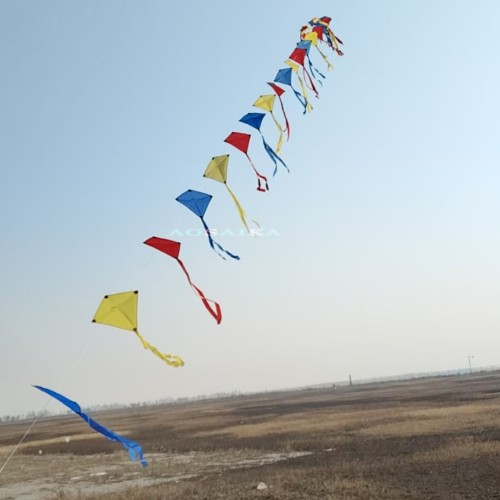 25M Trian kite Arch Kite 40d Ripstop Nylon For Adults High Quality Colorful Show Kite