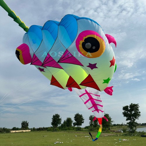 New Arrival Soft Inflatable 13sqm/20sqm Tadpole Kite 40d Nylon Ripstop For Adults High Quality Colorful Animal Show Kites New Arrival Soft Inflatable 13sqm/20sqm Tadpole Kite 40d Nylon Ripstop For Adults High Quality Colorful Animal Show Kites