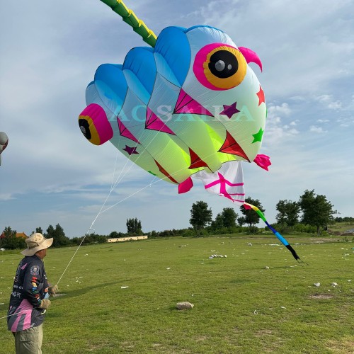 New Arrival Soft Inflatable 13sqm/20sqm Tadpole Kite 40d Nylon Ripstop For Adults High Quality Colorful Animal Show Kites New Arrival Soft Inflatable 13sqm/20sqm Tadpole Kite 40d Nylon Ripstop For Adults High Quality Colorful Animal Show Kites