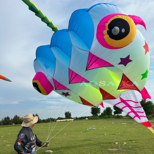 New Arrival Soft Inflatable 13sqm/20sqm Tadpole Kite 40d Nylon Ripstop For Adults High Quality Colorful Animal Show Kites New Arrival Soft Inflatable 13sqm/20sqm Tadpole Kite 40d Nylon Ripstop For Adults High Quality Colorful Animal Show Kites