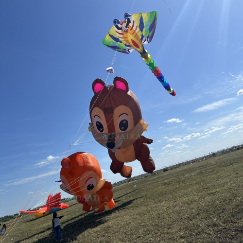 3.5m/5m squirrel kite pendant 40d ripstop nylon