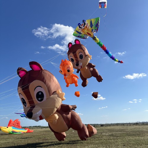 hflykites 12m squirrel kite pendant 40d ripstop nylon hflykites 12m squirrel kite pendant 40d ripstop nylon