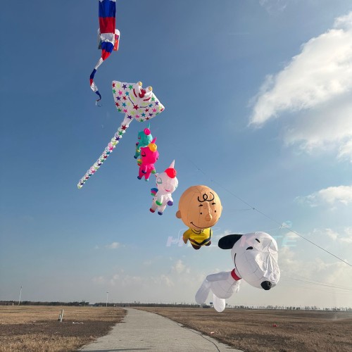 5M Charlie Brown 3.5/12M snoopy kite pendant 5M Charlie Brown 3.5/12M snoopy kite pendant