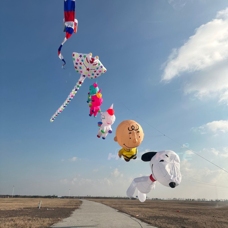 5M Charlie Brown 3.5/12M snoopy kite pendant 