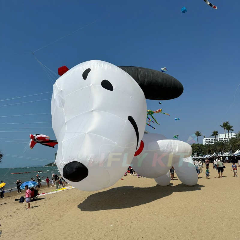 5M Charlie Brown 3.5/12M snoopy kite pendant 