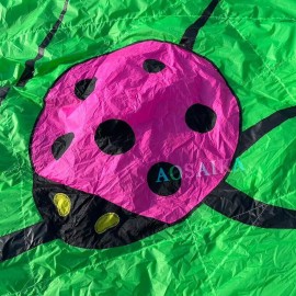  3*4.8M Tree Leaf Kite Pendant 40d Ripstop Nylon For Adults High Quality Colorful Show Kites 