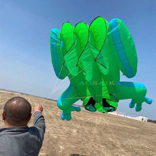 New Arrival Soft Inflatable 8M Tree Frog Kite 40d Nylon Ripstop Adults High Quality Colorful Animal Show Kites