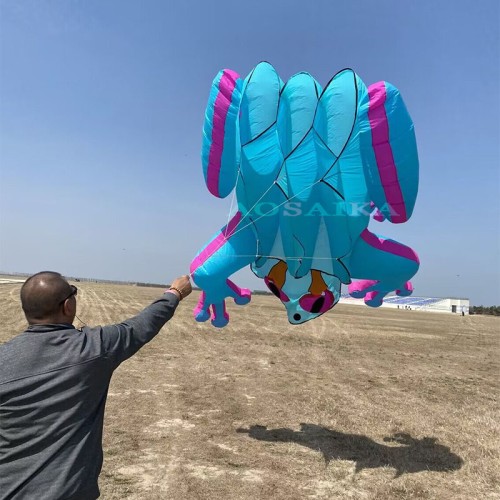 New Arrival Soft Inflatable 8M Tree Frog Kite 40d Nylon Ripstop Adults High Quality Colorful Animal Show Kites