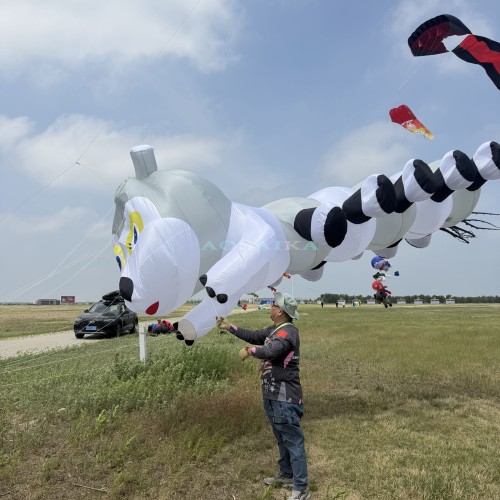 6M Caterpillar Kite Pendant 40d Ripstop Nylon For Adults High Quality Colorful Show Kite
