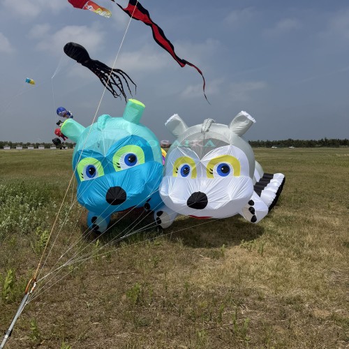 6M Caterpillar Kite Pendant 40d Ripstop Nylon For Adults High Quality Colorful Show Kite