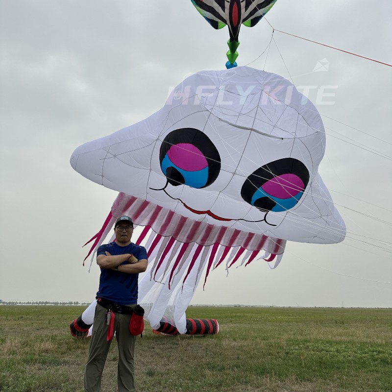 New Arrival Soft Inflatable 15M Jellyfish Kite Pendant 40d Nylon Ripstop Adults High Quality Colorful Animal Show Kites 