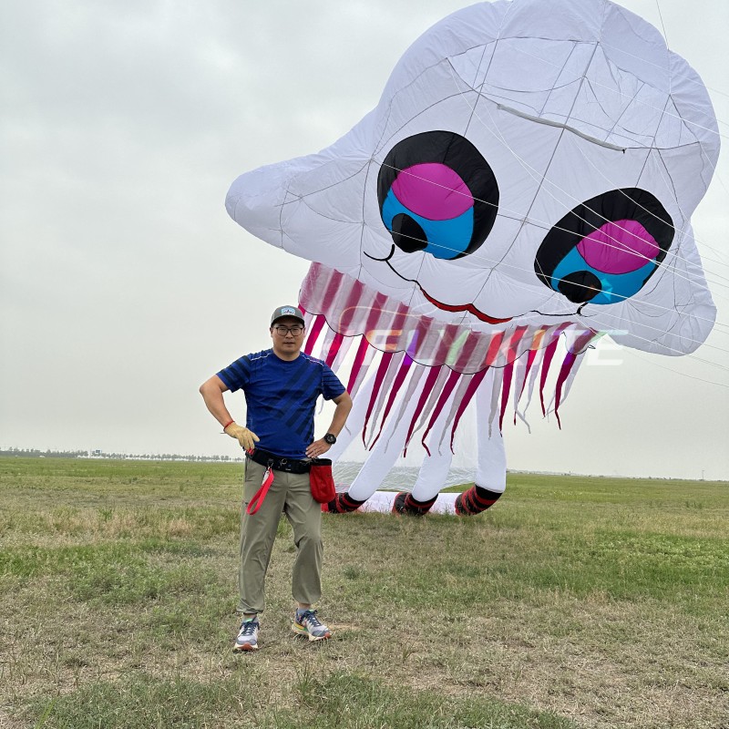 New Arrival Soft Inflatable 15M Jellyfish Kite Pendant 40d Nylon Ripstop Adults High Quality Colorful Animal Show Kites 