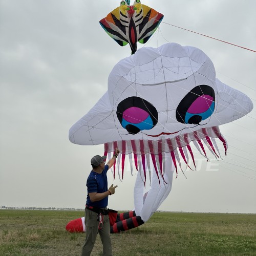 New Arrival Soft Inflatable 15M Jellyfish Kite Pendant 40d Nylon Ripstop Adults High Quality Colorful Animal Show Kites