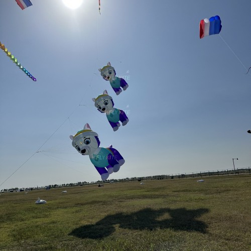A group of seven kites pendant of the PAW Patrol dog kite 40d ripstop nylon