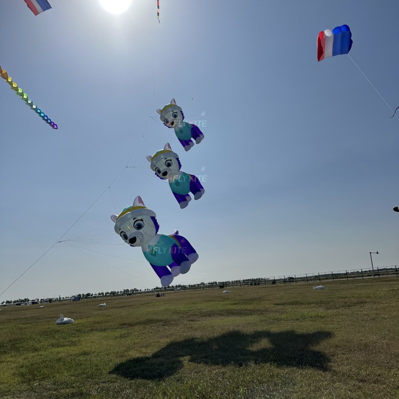 A group of seven kites pendant of the PAW Patrol dog kite 40d ripstop nylon 