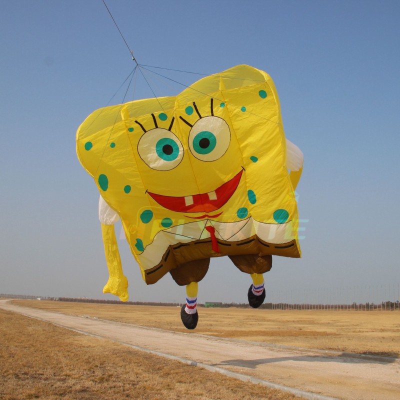 16sq.m lifter kite rendant 40d ripstop nylon 