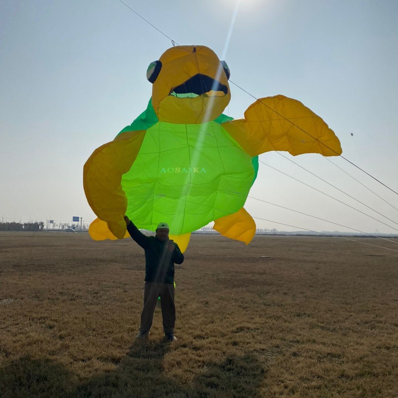2m/5m sea turtle kite pendant 40d Ripstop Nylon For Adults High Quality ColorfulShow Kite 