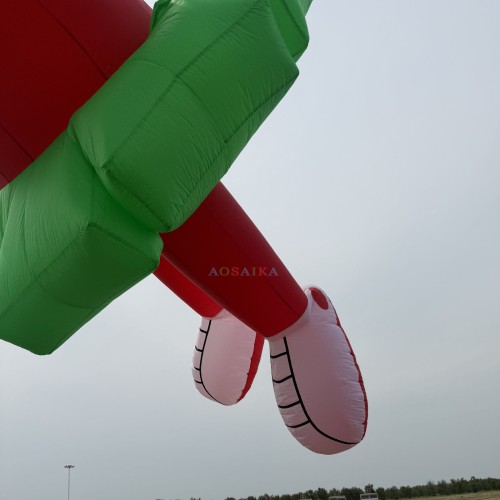 5m Martian kite pendant 40d ripstop nylon For Adults High Quality Colorful Show Kites