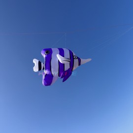 3.5M rocket mackerel kite pendant 40d ripstop nylon 