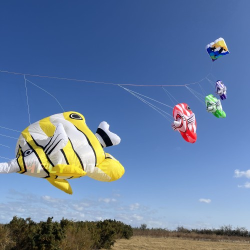 3.5M rocket mackerel kite pendant 40d ripstop nylon