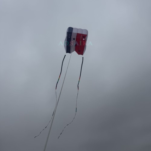 12/18sqm pilot kite 40d ripstop nylon