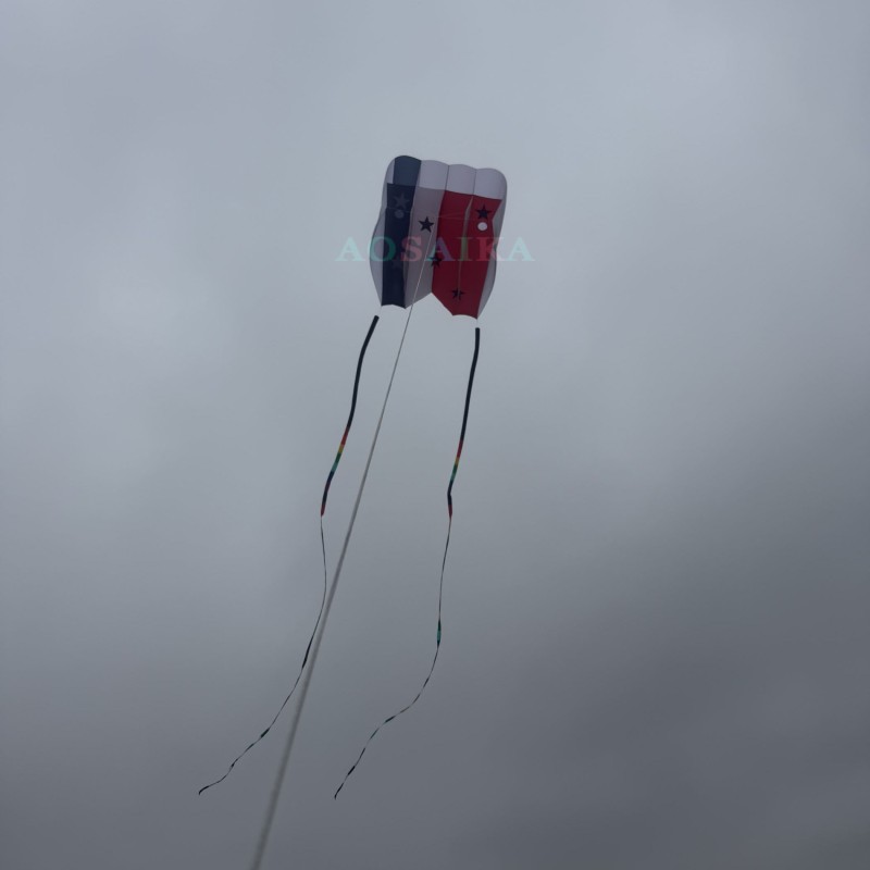 12/18sqm pilot kite 40d ripstop nylon 