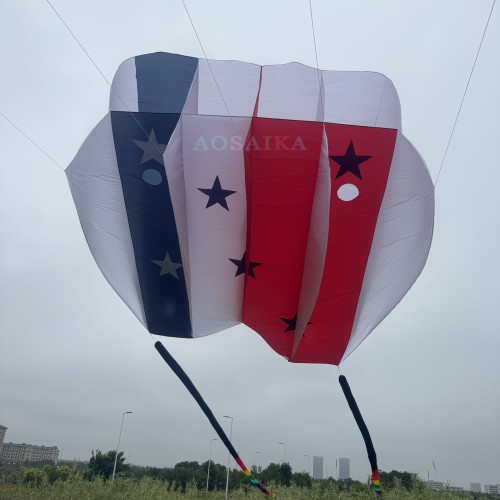12/18sqm pilot kite 40d ripstop nylon