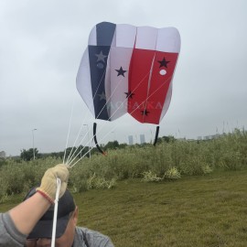 12/18sqm pilot kite 40d ripstop nylon 