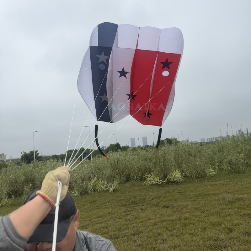 12/18sqm pilot kite 40d ripstop nylon 