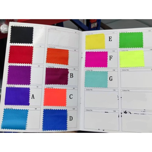 New Arrival pilot Kite 30d Ripstop Nylon For Adults High Quality ColorfulShow Kites