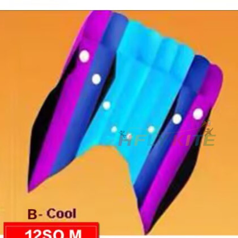 12SQ.M Flowfrom kite 