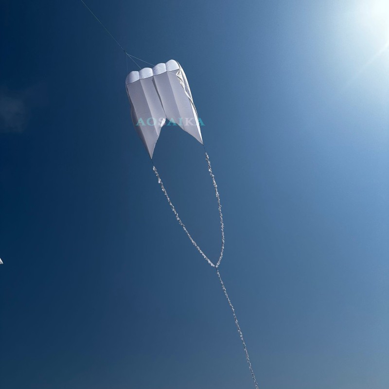 4Sqm flowfrom pilot kite 40d Ripstop Nylon For Adults High Quality Colorful Show Kite 