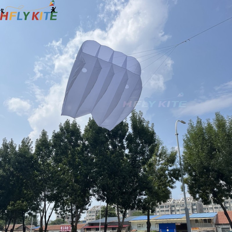 4sqm lifter kites 40d nylon ripstop 