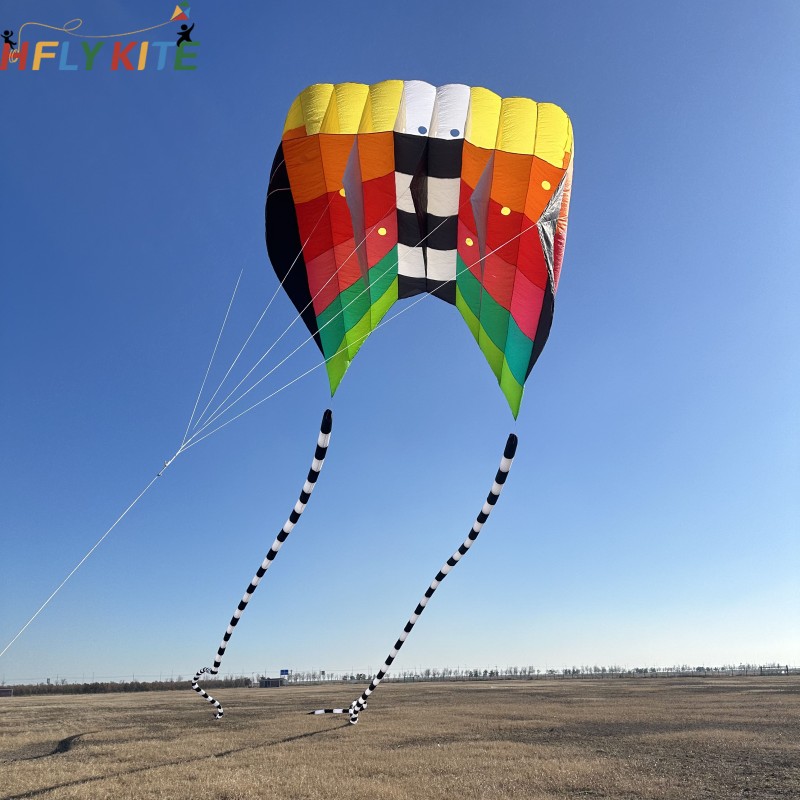 12/20sq.m flowfrom kite 40d ripstop nylon