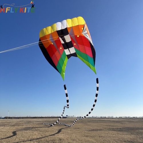 12/20sq.m flowfrom kite 40d ripstop nylon