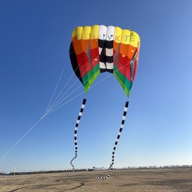12/20sq.m flowfrom kite 40d ripstop nylon 