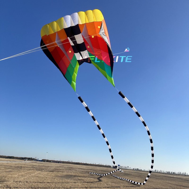 12/20sq.m flowfrom kite 40d ripstop nylon 
