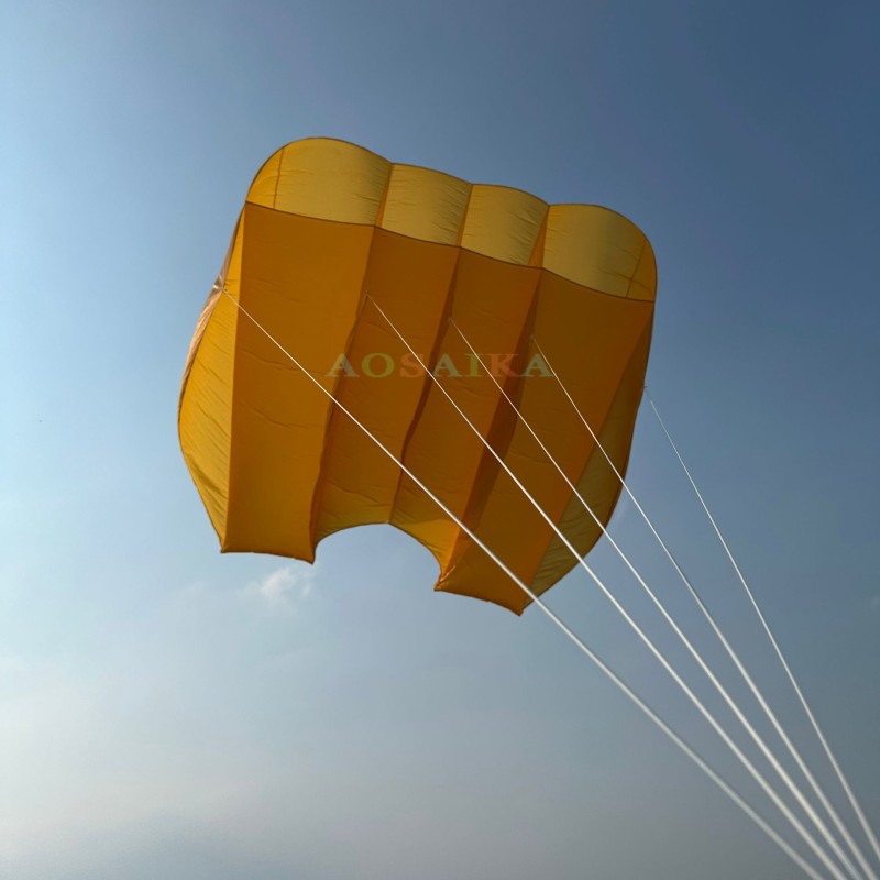 6.5sqm Pilot Kite 20d Ripstop Nylon For Adults High Quality Colorful Show Kites
