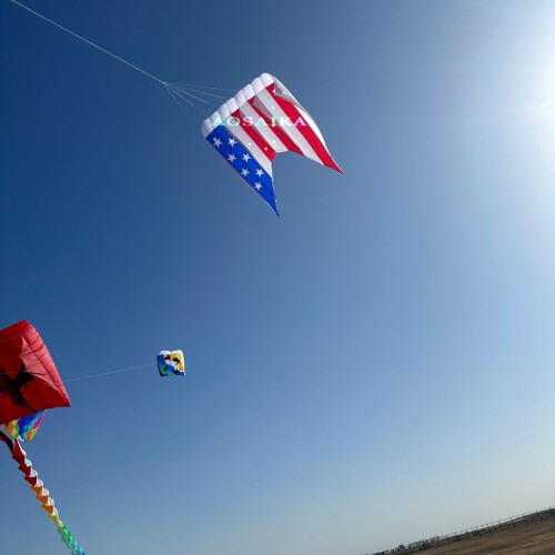 12Sqm flowfrom USA Kite 40d Ripstop Nylon For Adults High Quality ColorfulShow Kites