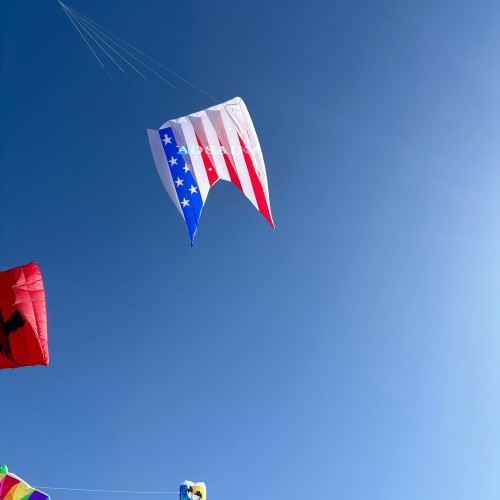 12Sqm flowfrom USA Kite 40d Ripstop Nylon For Adults High Quality ColorfulShow Kites