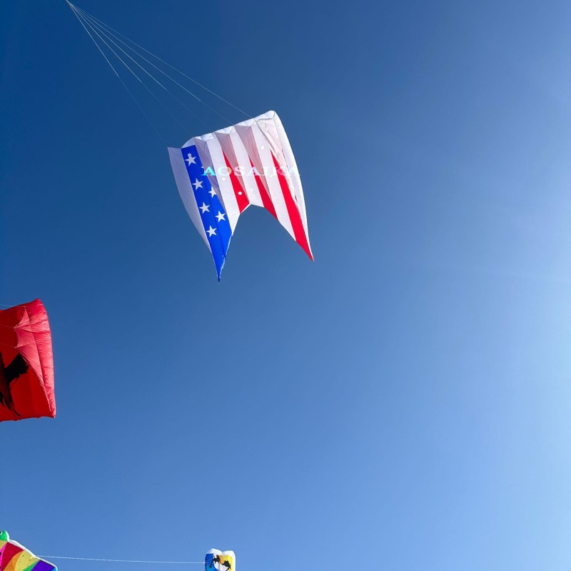 12Sqm flowfrom USA Kite 40d Ripstop Nylon For Adults High Quality ColorfulShow Kites 