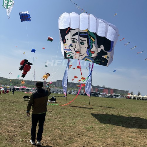 12/18/23/31sq.m abstract printing pilot kite 40d ripstop nylon
