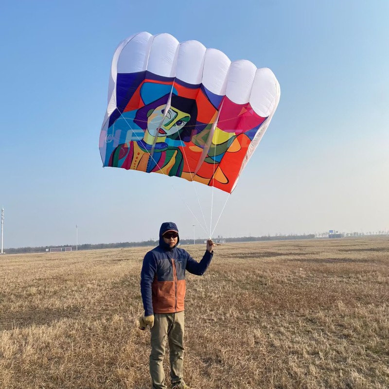 12sq.m abstract printing flowfrom kite 40d ripstop nylon 