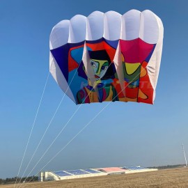 12sq.m abstract printing flowfrom kite 40d ripstop nylon 